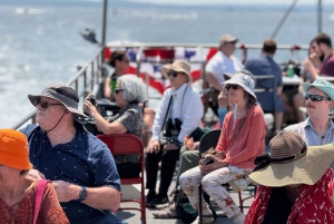 Family Friendly Statue Express Cruise