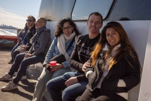 Family Friendly Statue Express Cruise