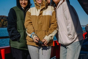 Family Friendly Statue Express Cruise