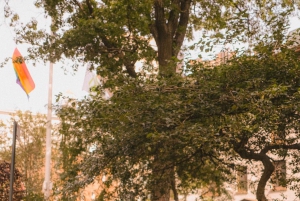 Hyldest fra fans: Taylor Swift på byvandring i New York