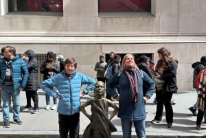 Traghetto, Lower Manhattan, SoHo e Midtown grand tour e foto