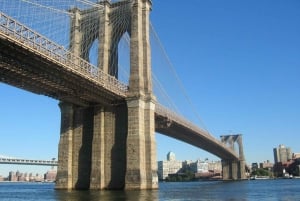 Vanuit Manhattan: Brooklyn Bridge Park-fietstocht van 2 uur