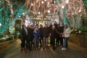 Ab Manhattan: Weihnachts-Magie-Tour in Brooklyn