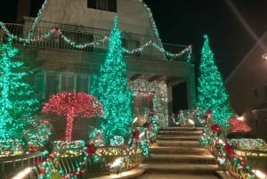 Au départ de Manhattan : 4 heures de visite magique de Noël à Brooklyn