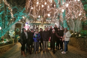 From Manhattan: 4-Hour Brooklyn Christmas Magic Tour