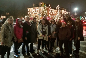 From Manhattan: 4-Hour Brooklyn Christmas Magic Tour