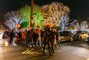 From Manhattan: 4-Hour Dyker Heights Holiday Lights Bus Tour