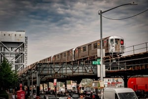 Da Manhattan: tour in autobus di 5 ore nel Bronx, Queens e Brooklyn