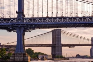 Da Manhattan: tour in autobus di 5 ore nel Bronx, Queens e Brooklyn