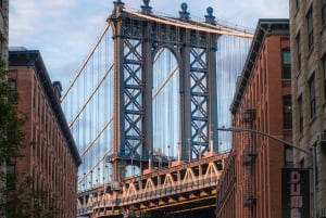 Da Manhattan: tour in autobus di 5 ore nel Bronx, Queens e Brooklyn