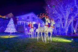 Desde Manhattan: Tour en autobús por las vacaciones en Dyker Heights