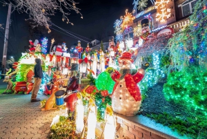 Från Manhattan: Dyker Heights Holiday Busstur