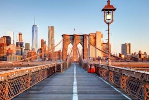 Fra Manhattan: Heldagstur til NYC's bydele og Coney Island