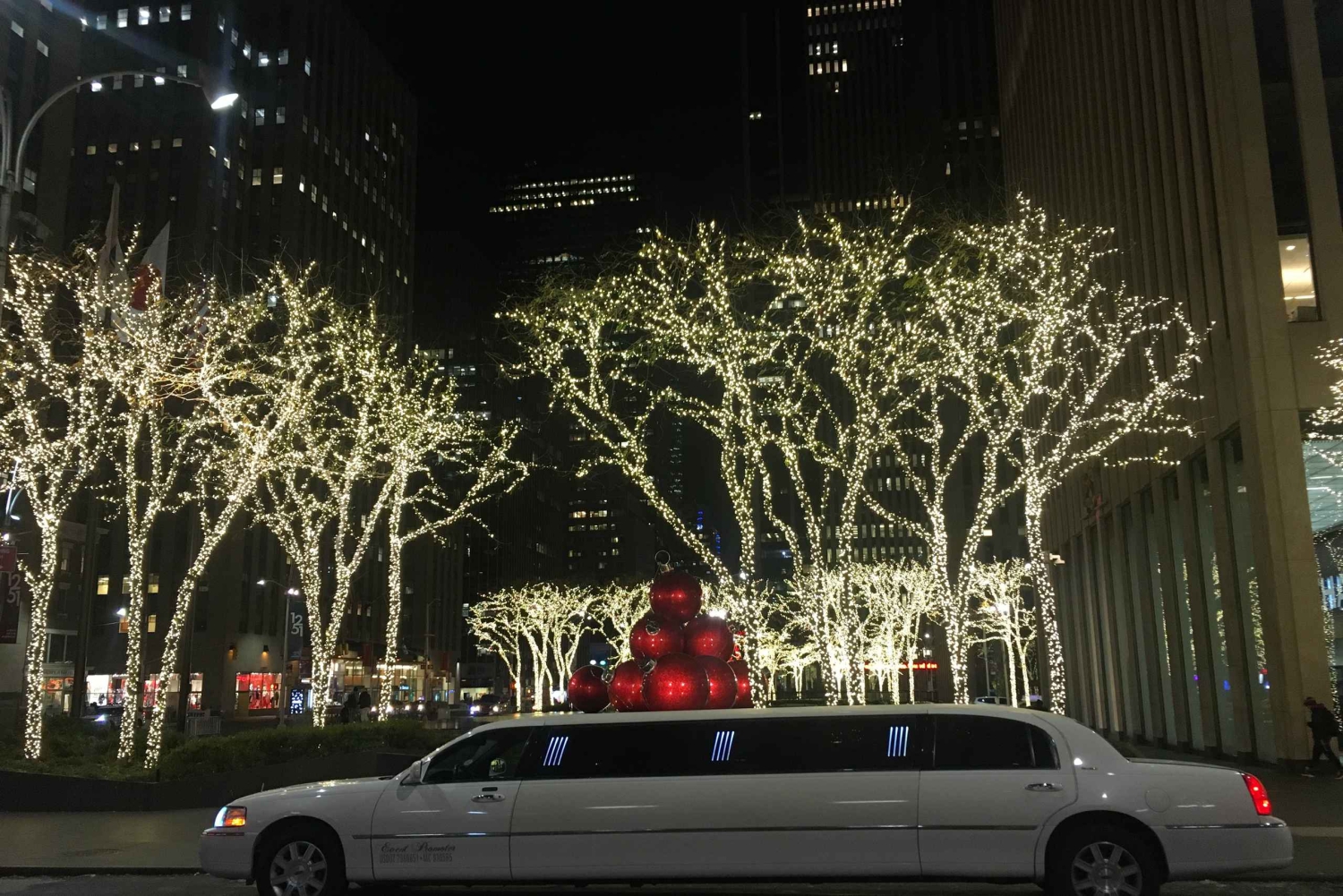 Из Манхэттена: частный рождественский тур по Бруклину на лимузине