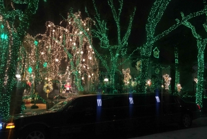 Depuis Manhattan : tour de Brooklyn à Noël en limousine