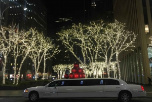 Desde Manhattan Tour privado de Navidad por Brooklyn en limusina