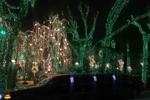 Из Манхэттена: частный рождественский тур по Бруклину на лимузине