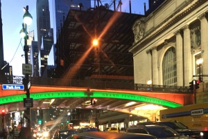 Из Манхэттена: частный рождественский тур по Бруклину на лимузине