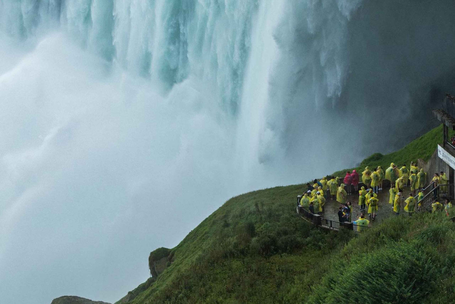 Fra New York City: Niagara Falls guidet tur