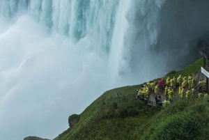Fra New York City: Niagara Falls guidet tur