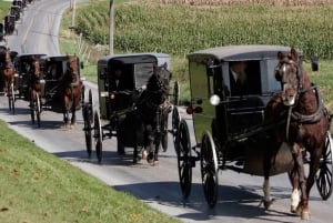 Desde Nueva York Excursión de un día a Filadelfia y la Comunidad Amish