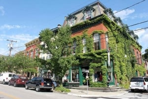 Vanuit New York City: Storm King Art & Cold Spring Town Tour