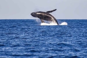 New York : croisière au coucher du soleil, musique et ambiance