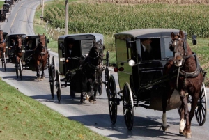 Desde Nueva York Excursión de un día a Filadelfia y la Comunidad Amish