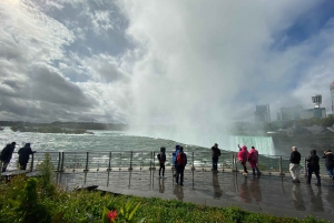 Au départ de NYC : Visite à la journée des chutes du Niagara