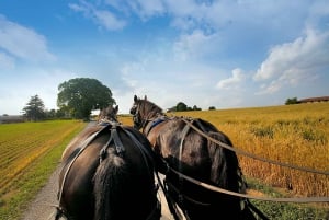 From NYC: 2-Day Tour of Philadelphia, D.C. & Amish Country