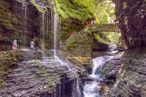 Da NYC: Tour di 2 giorni alle Cascate del Niagara con shopping negli outlet