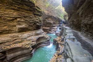 Desde Nueva York: Excursión de 2 días a las cataratas del Niágara con compras en outlets