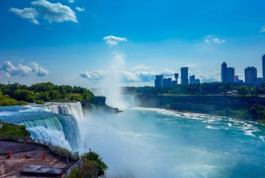 Fra New York: Heldagstur til Niagara Falls i varebil