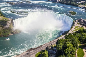 Fra New York: Heldagstur til Niagara Falls i varebil