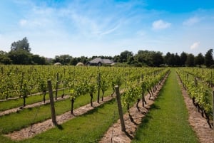 Desde Nueva York: Excursión de un día a Hamptons, Sag Harbor y Outlet Shopping