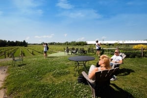 Desde Nueva York: Excursión de un día a Hamptons, Sag Harbor y Outlet Shopping