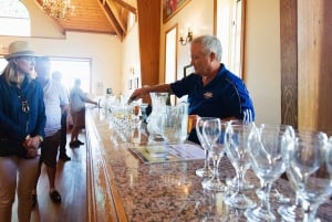 Desde Nueva York: Excursión de un día a Hamptons, Sag Harbor y Outlet Shopping