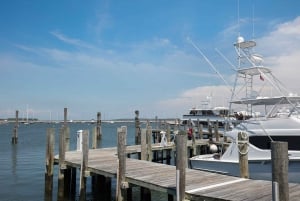 Desde Nueva York: Excursión de un día a Hamptons, Sag Harbor y Outlet Shopping