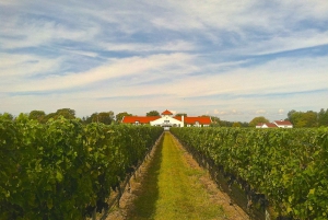 Au départ de NYC : Visite des vignobles de Long Island avec déjeuner