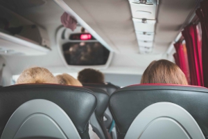 Desde NYC: Excursión a las cataratas del Niágara, Washington y Filadelfia