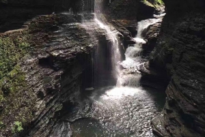 Fra NYC: Niagara Falls, Washington DC og Philly 3-dagers tur