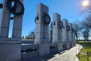 Fra NYC: Washington DC på en dagstur