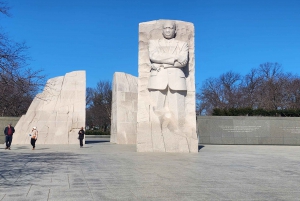 Fra NYC: Washington DC på en dagstur