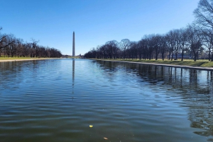 Fra NYC: Washington DC på en dagstur