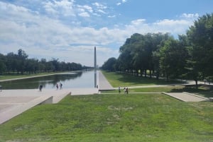 Da New York: tour guidato di un giorno a Washington e Filadelfia