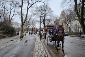 Grand Tour: Central Park, Rockefeller Center & Times Square