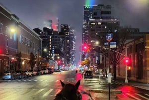 Hevosajelu Rockefeller Centerissä ja Times Squarella