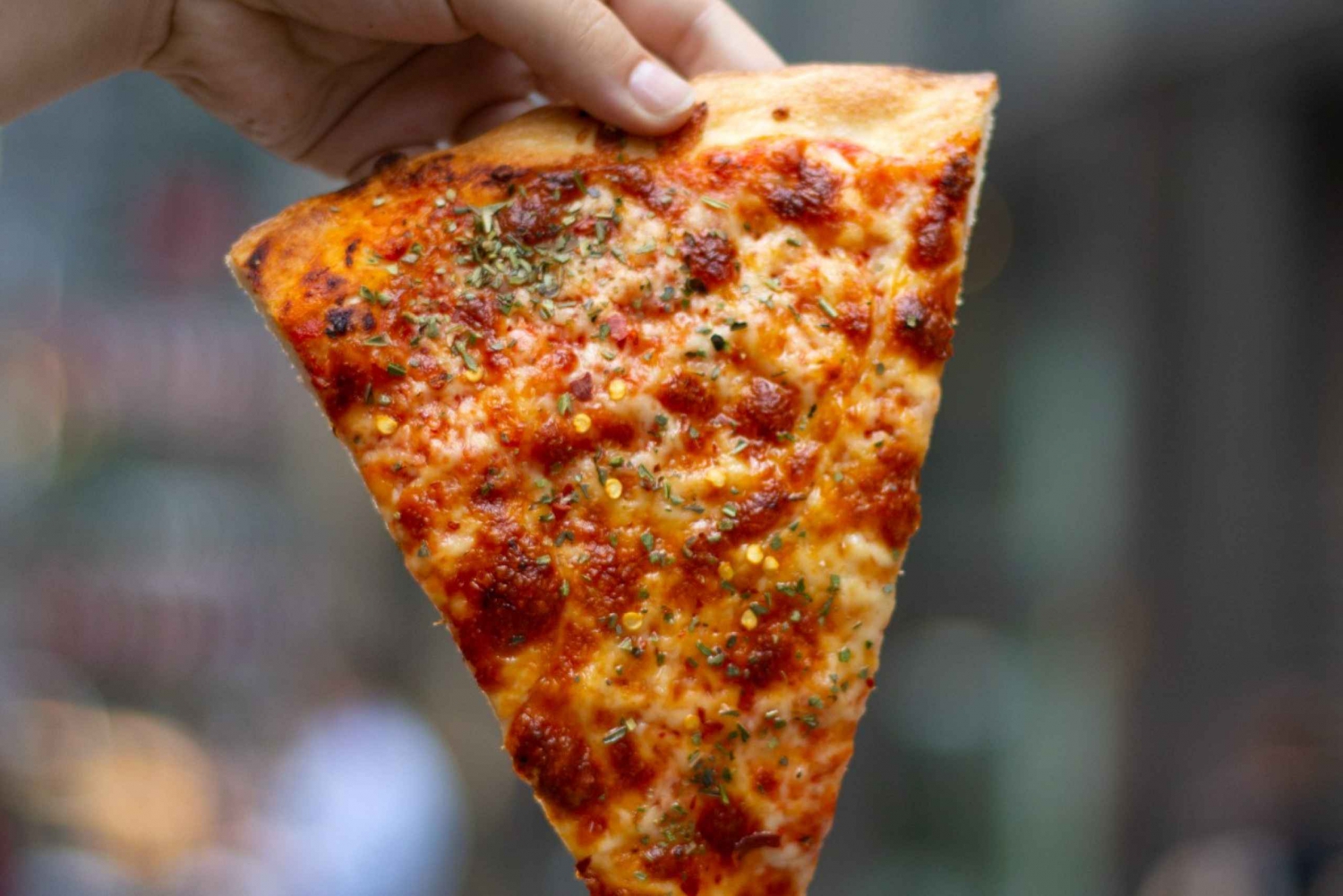 Greenwich Village Walking Food Tour: Slices and Slices