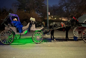 Guidet tur med hestevogn i Central Park og NYC