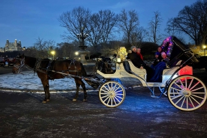 Passeggiata guidata a Central Park e NYC in carrozza a cavallo